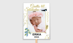 guld studentskylt
