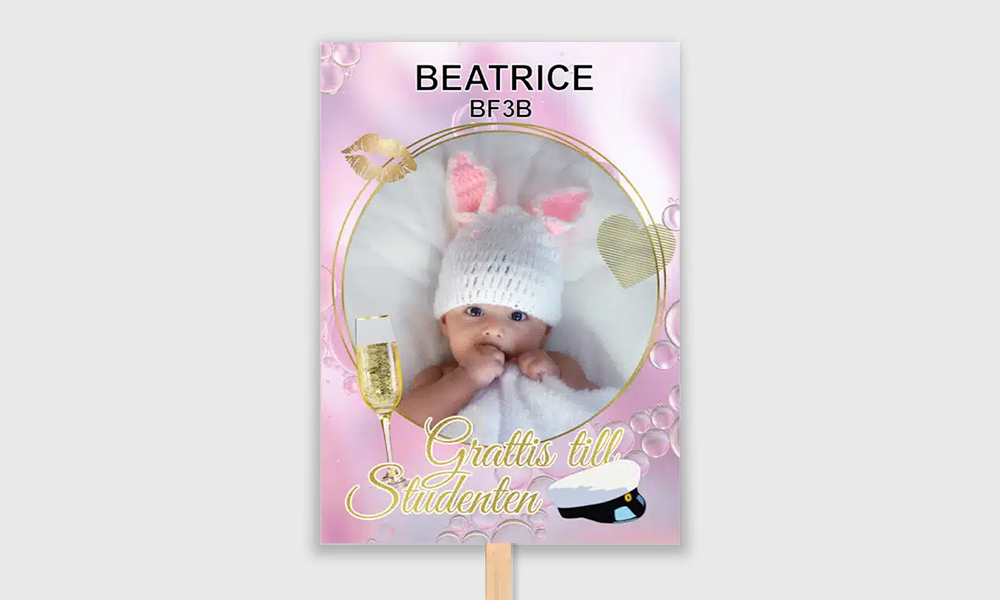 studentplakat dubbelsidig