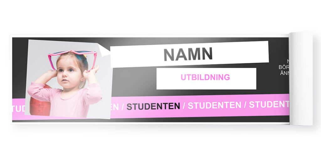 modern rosa